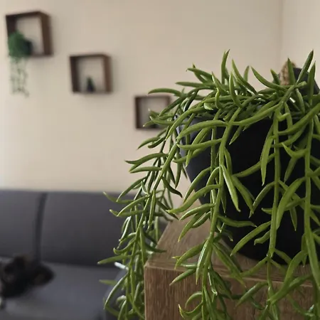 Cozy With Parking Apartment *