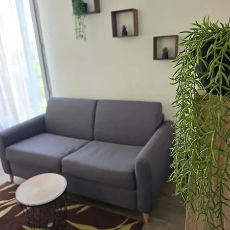 Apartment Cozy With Parking *